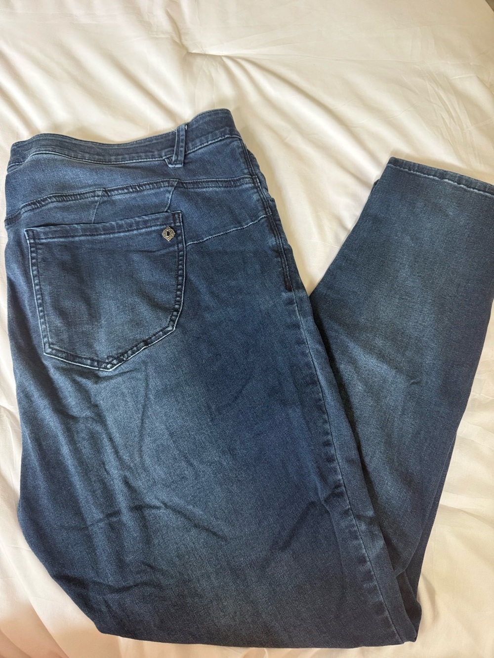 Democracy Indigo Skinny Jeans